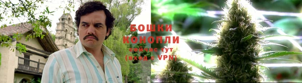 гидра Алзамай