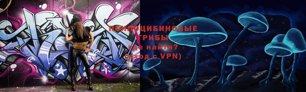 гидра Алзамай