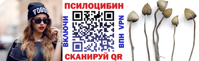 Псилоцибиновые грибы прущие грибы Добрянка